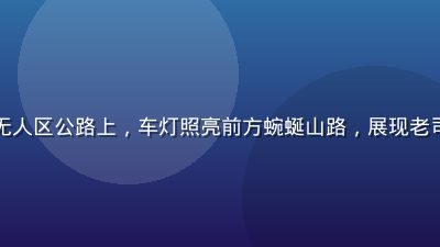 货车司机在深夜西藏无人区公路上，车灯照亮前方蜿蜒山路，展现老司机不迷路的沉着应对